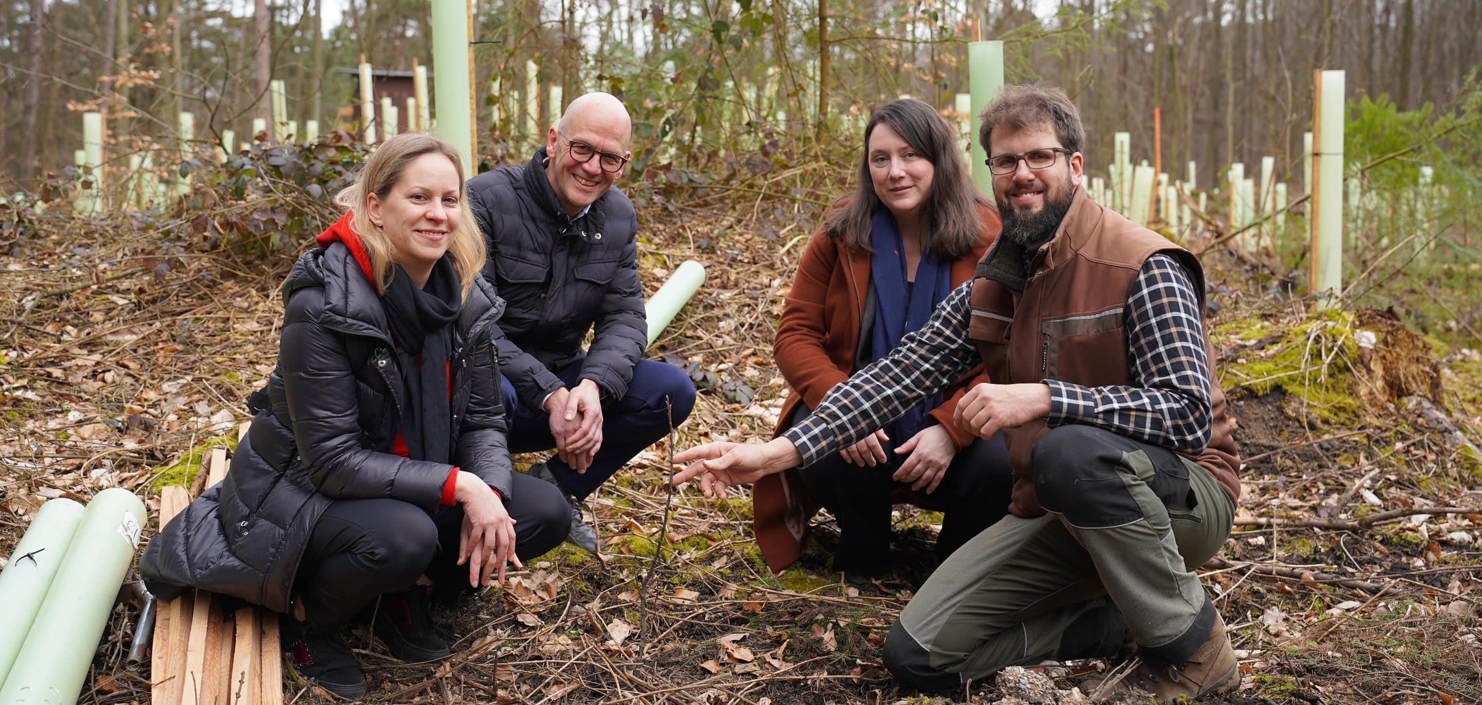 Net(t)Aufforsten in Eschweiler Symbolbild für die Aktion Net(t)Aufforsten in Eschweiler.