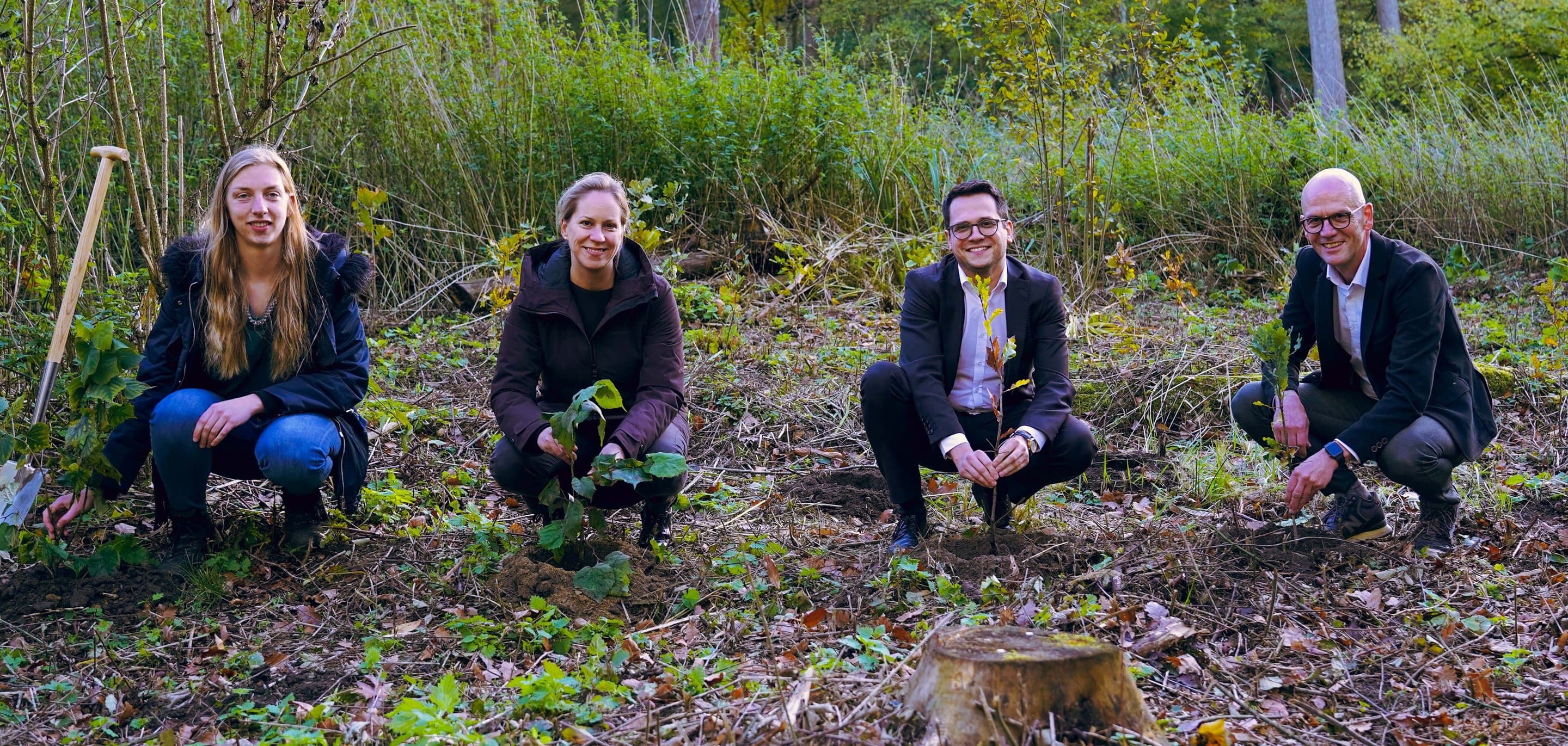 Net(t)Aufforsten in Herzogenrath Symbolbild für die Aktion Net(t)Aufforsten in Herzogenrath.