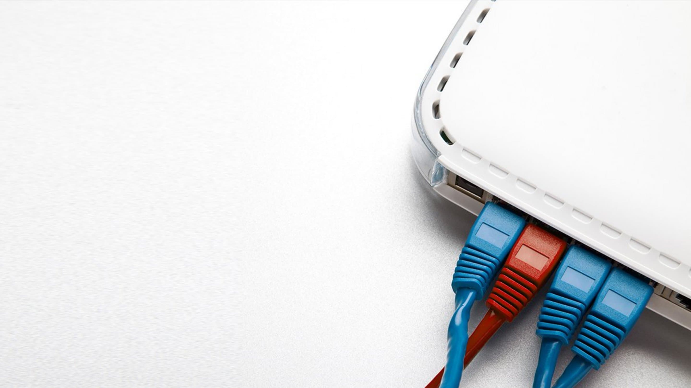 Grauer Hintergrund auf dem in der Ecke ein Teil eines Routers zu sehen ist, in dem blaue und rote Kabel stecken.