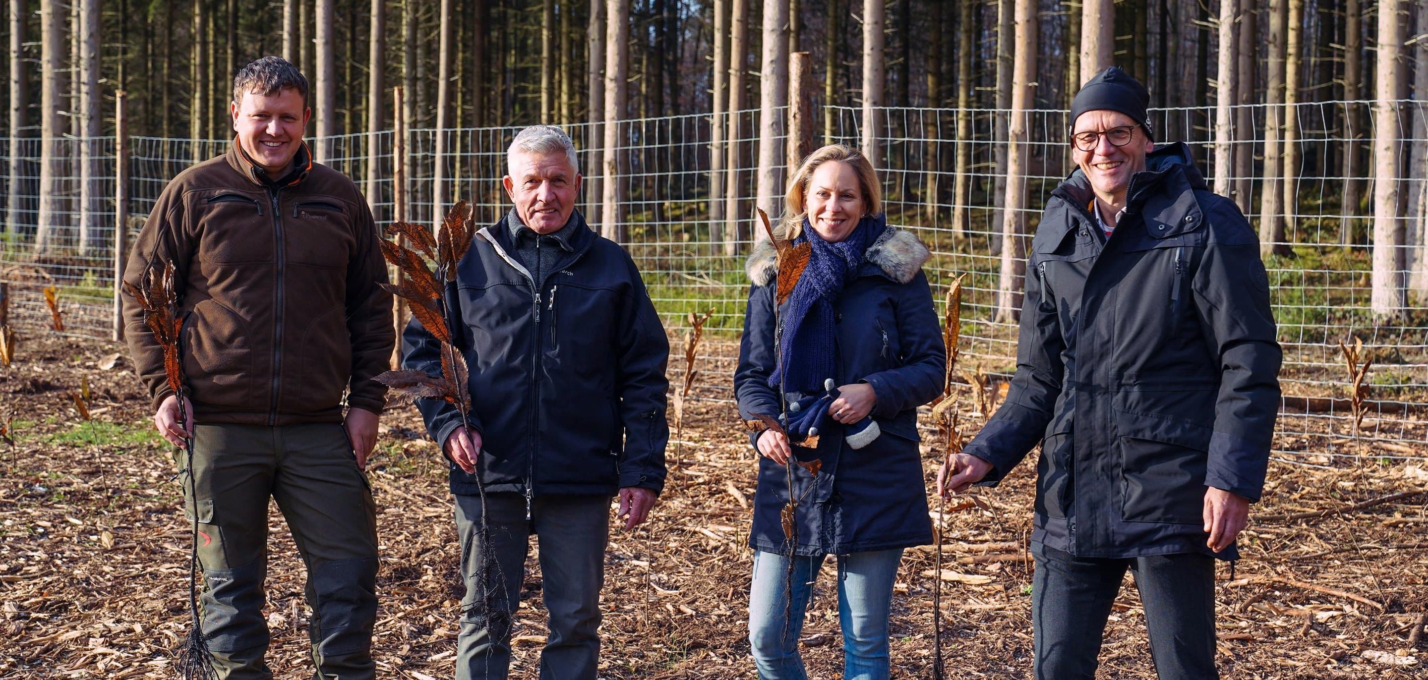 Net(t)Aufforsten in Stolberg. Symbolbild für die Aktion Net(t)Aufforsten in Stolberg.